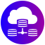 server