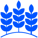 Agriculture